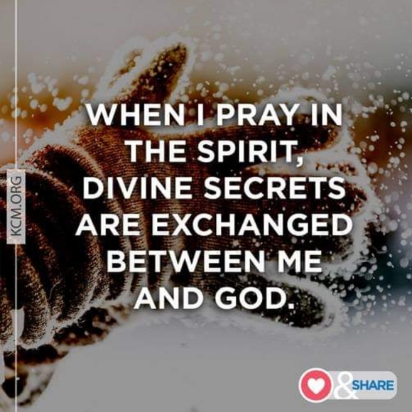 100% Supina Cotton Brown Sweater Vest XXL/T - Picture 6 of 7